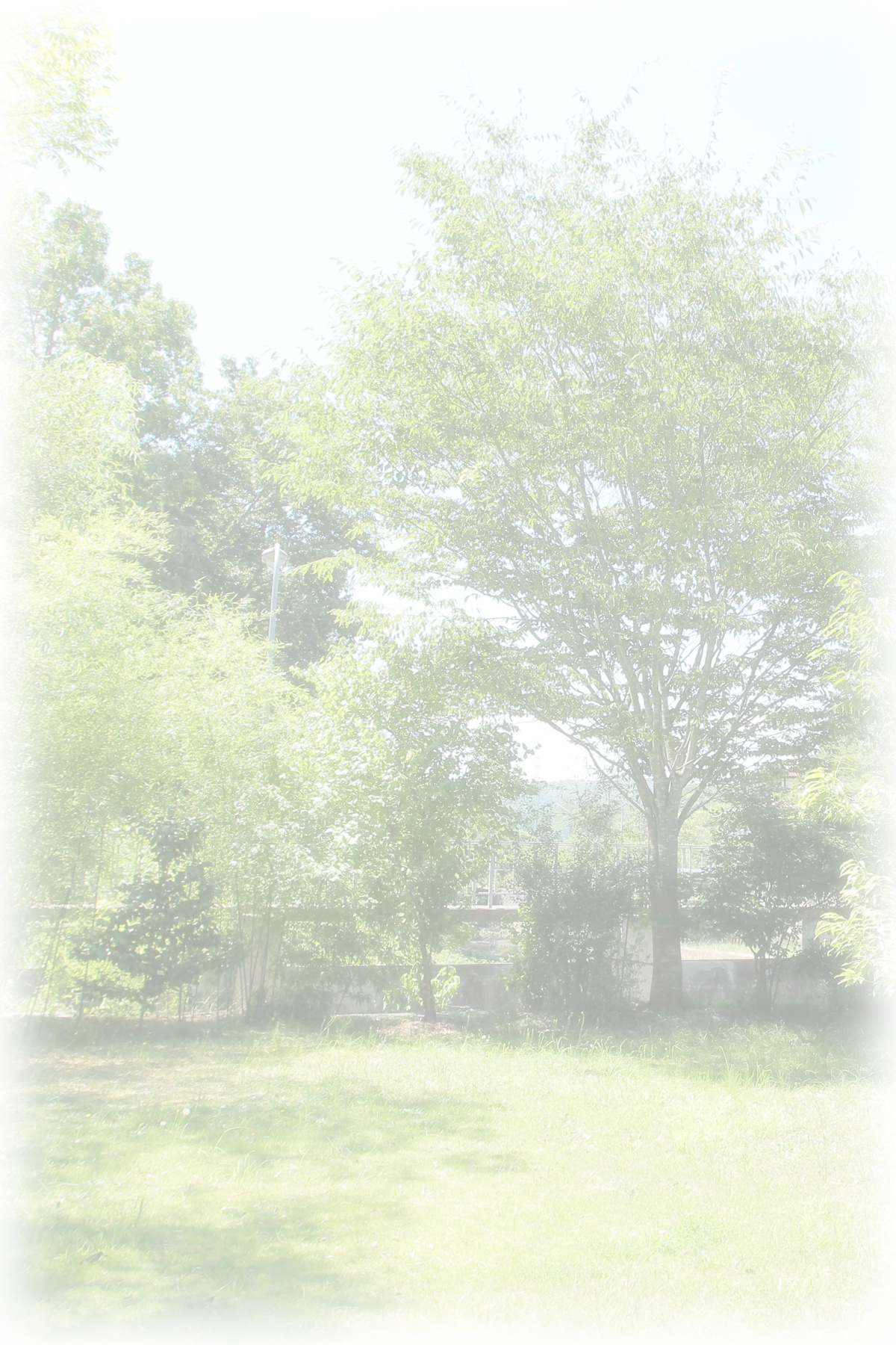 img20210728145950032178.jpg