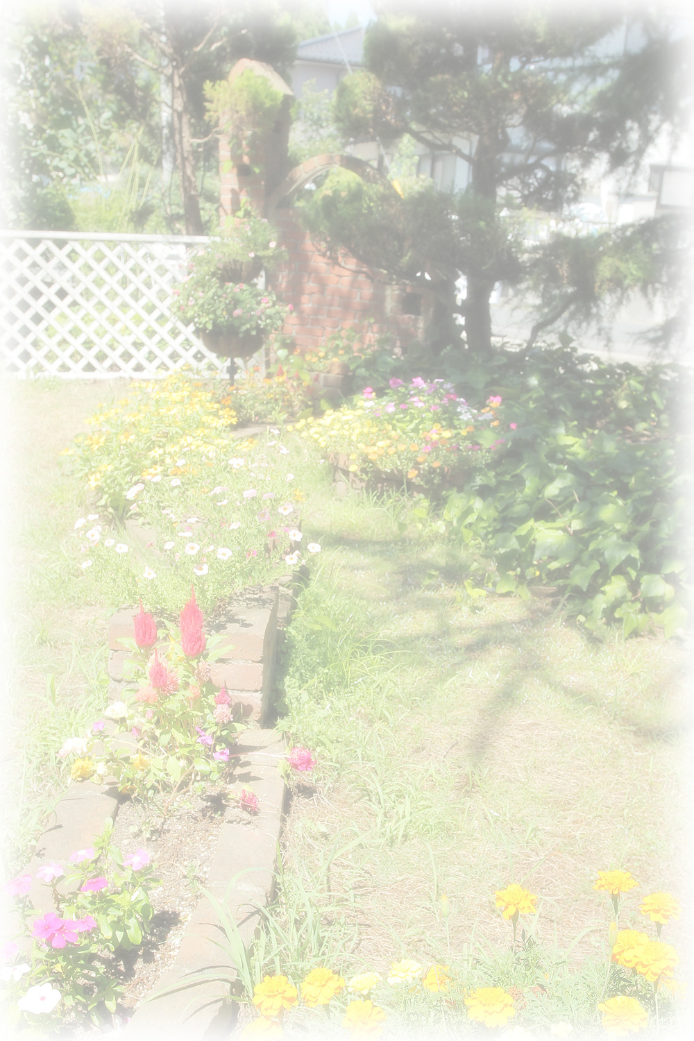 img20210728145950041295.jpg